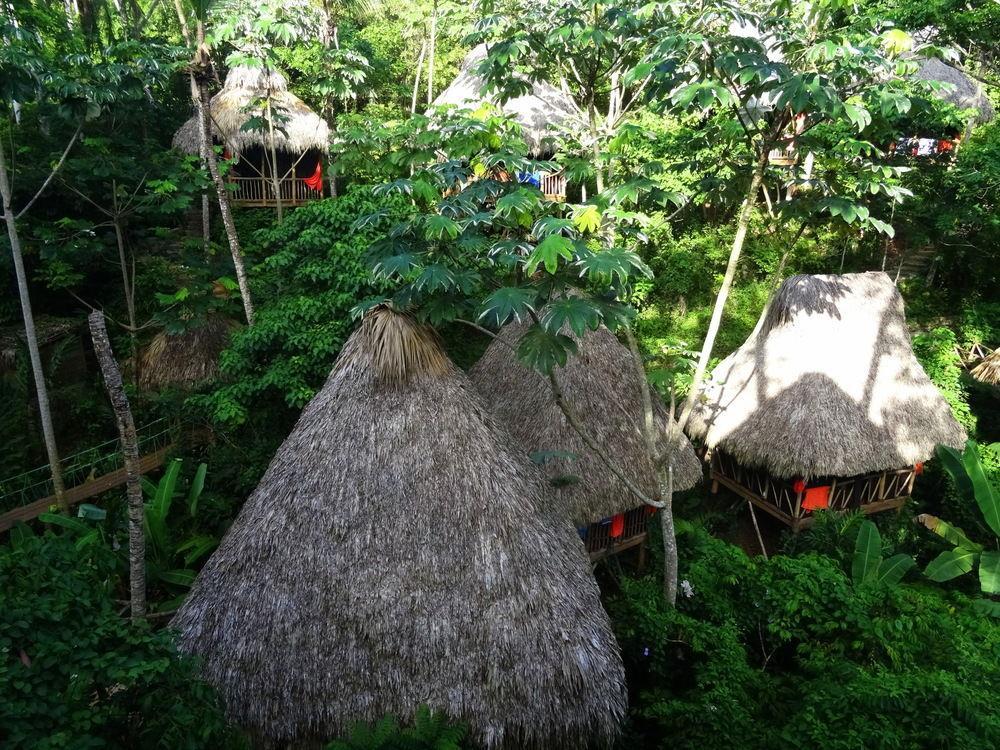 Dominican Tree House Village Santa Barbara De Samana ภายนอก รูปภาพ